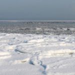Teaser Winter