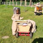 Umwelt-Programme von Gruppenhäusern in MV