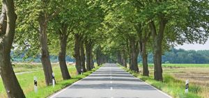 Binnenland in Mecklenburg-Vorpommern