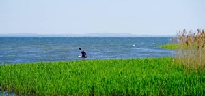 Stettiner Haff in Mecklenburg-Vorpommern